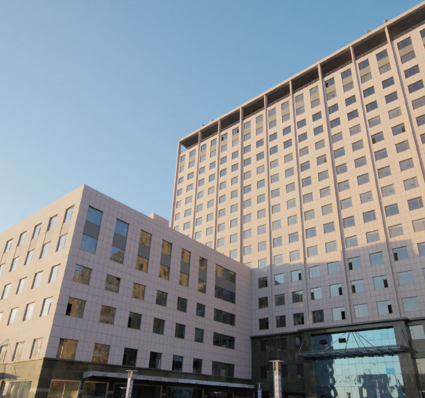 Натуральное каменное покрытие на фасаде здания